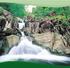 Bay Village Tropical Retreat, Cairns - Schoolies Week Accommodation 2