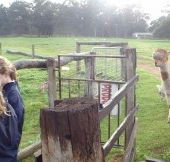 Boronia Farm Farmstay - Schoolies Week Accommodation