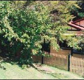 Apple Tree Cottage - Schoolies Week Accommodation