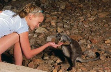 Heaviytrr Gap Outback Lodge - Schoolies Week Accommodation 5