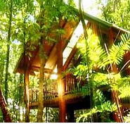 The Canopy Treehouses - Schoolies Week Accommodation