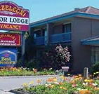 Strzelecki Motor Lodge - Schoolies Week Accommodation