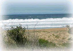 Empire Bay NSW Schoolies Week Accommodation