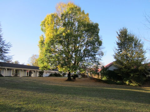 Moore Park Inn - Schoolies Week Accommodation 0