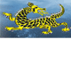 Dragon Phoenix Motel amp Restuarant - Schoolies Week Accommodation