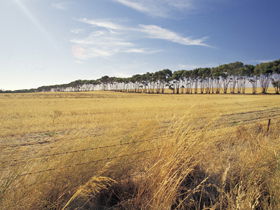  Schoolies Week Accommodation