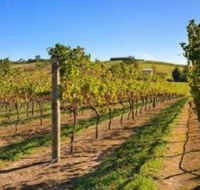 DeVine Escape - Schoolies Week Accommodation