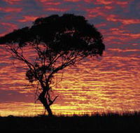 Kimba Caravan Park amp Motel - Schoolies Week Accommodation