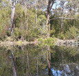 Sanctuary House Resort Motel - Healesville - Schoolies Week Accommodation 5