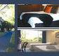 The Albany - Schoolies Week Accommodation