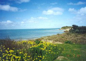Southern Ocean Tourist Park - Schoolies Week Accommodation 1