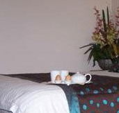 Best Western Ambassador Motor Inn - Schoolies Week Accommodation