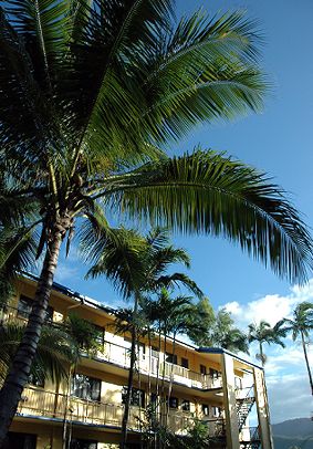 Palms At Trinity - Schoolies Week Accommodation 3