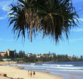 Mariners Caloundra - Schoolies Week Accommodation