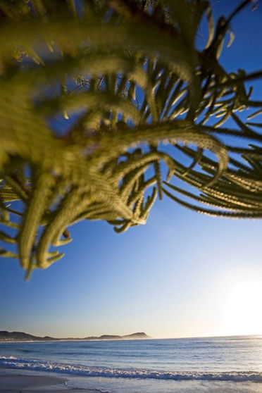Terrigal Sails Serviced Apartments - Schoolies Week Accommodation 5