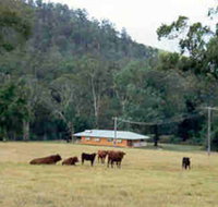 Shute Hill Country Retreat - Schoolies Week Accommodation