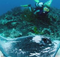 Heron Island Resort - Schoolies Week Accommodation