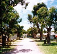 Bathers Paradise Caravan Park - Schoolies Week Accommodation
