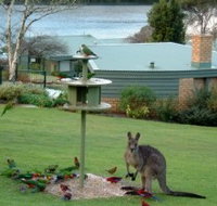 Gipsy Point Lakeside - Schoolies Week Accommodation