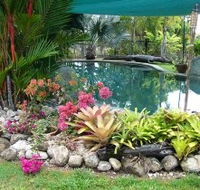 Daintree Wild Bed And Breakfast - Schoolies Week Accommodation