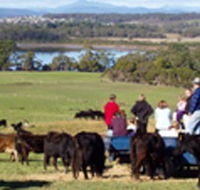 Bonny Brae - Schoolies Week Accommodation
