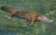 Eilean Donan Gardens - thumb 0