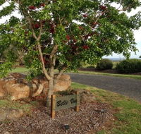 Belle Vue Studio - Schoolies Week Accommodation
