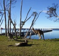Waterfront Retreat At Wattle Point - Schoolies Week Accommodation