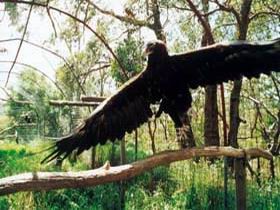 Ironbank SA Schoolies Week Accommodation