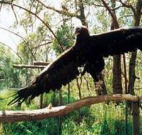Curlew Hill Sanctuary - Schoolies Week Accommodation