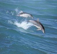 Seachange - Schoolies Week Accommodation