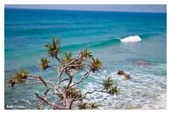 Pacific Horizons Resort - Schoolies Week Accommodation 24
