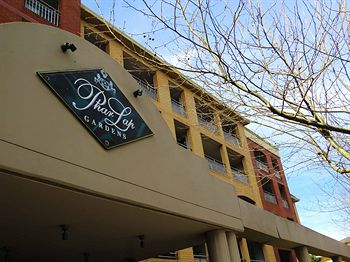 Waldorf Randwick Serviced Apartments - Schoolies Week Accommodation 5