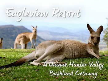 Eagleview Resort - Schoolies Week Accommodation 45