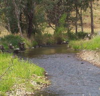 Murphy's Cabin - Schoolies Week Accommodation
