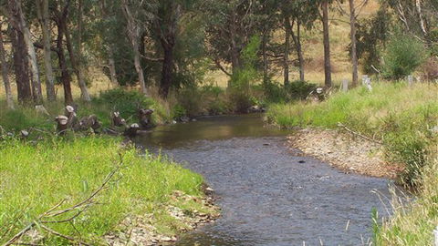 Murphy's Cabin - Schoolies Week Accommodation 0