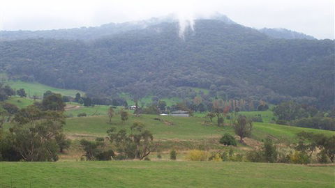 Murphy's Cabin - Schoolies Week Accommodation 1