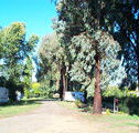 Cudal Caravan Park - Schoolies Week Accommodation