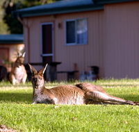 Kalgan River Chalets  Caravan Park - Schoolies Week Accommodation