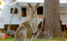 BIG4 Sunshine South West Rocks Holiday Park - South - Schoolies Week Accommodation 3