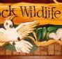 Wave Rock Hotel Motel - Schoolies Week Accommodation