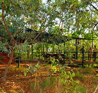 Arnhemland Barramundi Nature Lodge - Schoolies Week Accommodation
