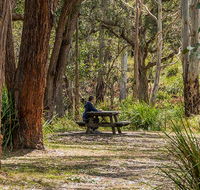 Koreelah Creek campground - Schoolies Week Accommodation