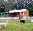 Moorallie Cottage Farm Stay - Schoolies Week Accommodation