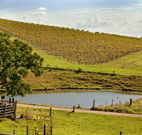 Sanctuary Hill Retreat - Schoolies Week Accommodation