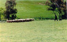Gooromon Park Cottages - Schoolies Week Accommodation 0