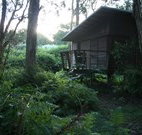 Mount Seaview Resort - Schoolies Week Accommodation