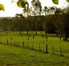Stone Cottage Mittagong - Schoolies Week Accommodation