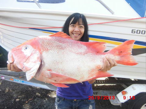 Flying Fish Point Tourist Park - Schoolies Week Accommodation 6