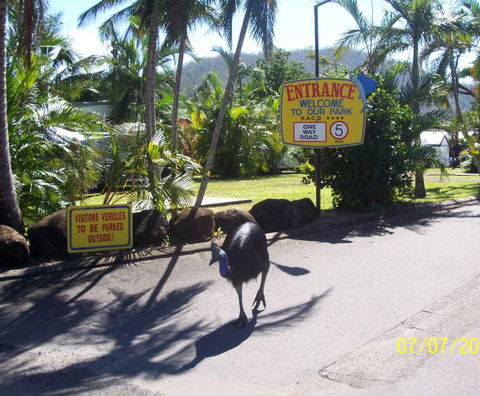 Flying Fish Point Tourist Park - Schoolies Week Accommodation 9